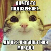 он что-то подозревает.. да, не я любопытная морда))