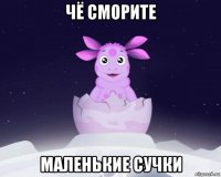 чё сморите маленькие сучки