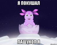 я покушал лашукоп я