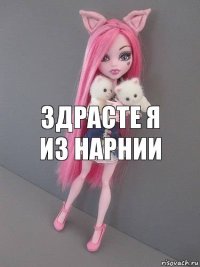 здрасте я из нарнии