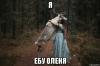 я ебу оленя