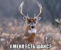  у меня есть шанс?