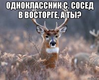 одноклассник с. сосед в восторге, а ты? 