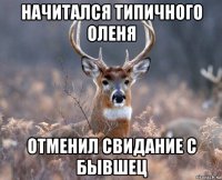 начитался типичного оленя отменил свидание с бывшец