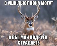 в уши льют пока могут а вы, мои подруги, страдаете