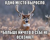 одно место выросло, больше ничего о себе не осознаёт