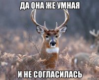 да она же умная и не согласилась