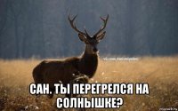  сан. ты перегрелся на солнышке?