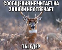 сообщения не читает на звонки не отвечает ты где?