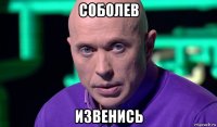 соболев извенись