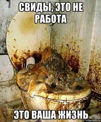 свиды, это не работа это ваша жизнь