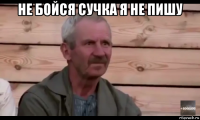 не бойся сучка я не пишу 