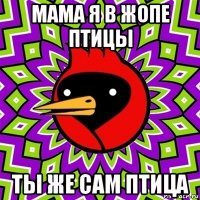 мама я в жопе птицы ты же сам птица