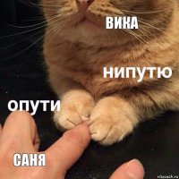 вика саня