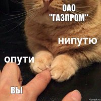 ОАО "Газпром" Вы