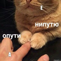 Е А