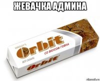 жевачка админа 