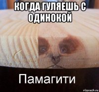 когда гуляешь с одинокой 