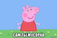  сам ты мусорка