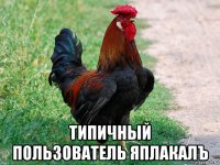  типичный пользователь яплакалъ