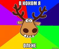 в коком я олене