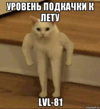 уровень подкачки к лету lvl-81