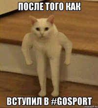 после того как вступил в #gosport