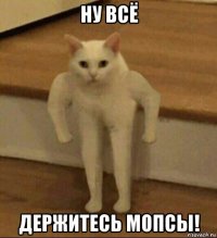 ну всё держитесь мопсы!