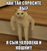 как так спросите вы? я сын человека и кошки!!