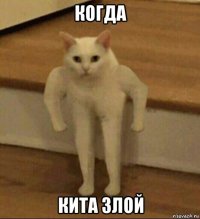 когда кита злой