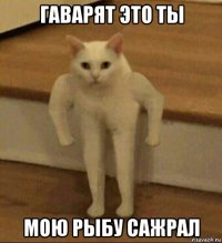 гаварят это ты мою рыбу сажрал