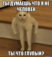 ты думаешь что я не человек ты что глупый?