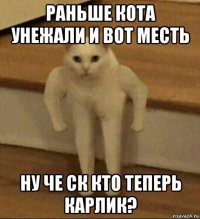 раньше кота унежали и вот месть ну че ск кто теперь карлик?