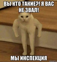 вы кто такие?! я вас не звал! мы инспекция