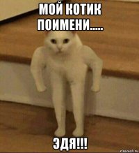 мой котик поимени..... эдя!!!