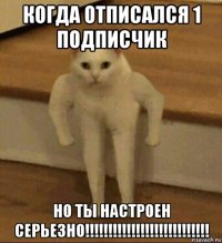 когда отписался 1 подписчик но ты настроен серьезно!!!!!!!!!!!!!!!!!!!!!!!!!!!