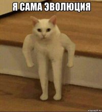 я сама эволюция 