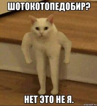 шотокотопедобир? нет это не я.