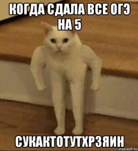 когда сдала все огэ на 5 сукактотутхрзяин