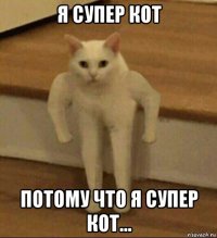 я супер кот потому что я супер кот...