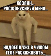 хозяин... расфокусируй меня... надоело уже в чужом теле расхаживать...