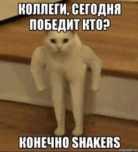 коллеги, сегодня победит кто? конечно shakers