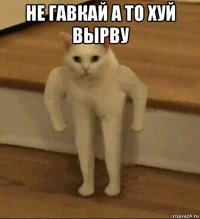 не гавкай а то хуй вырву 