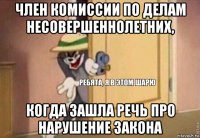 член комиссии по делам несовершеннолетних, когда зашла речь про нарушение закона