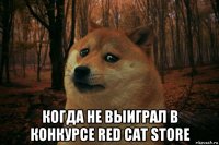  когда не выиграл в конкурсе red cat store