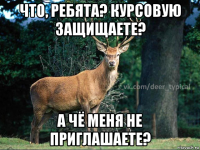 что, ребята? курсовую защищаете? а чё меня не приглашаете?