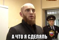  а что я сделяль