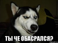 ты че обасрался?