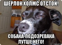 шерлок холмс отстой! собака-подозревака лутше него!