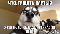 что, тащить нарты? хозяин, ты обалдел, сейчас же лето!